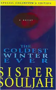 The Coldest Winter Ever book cover