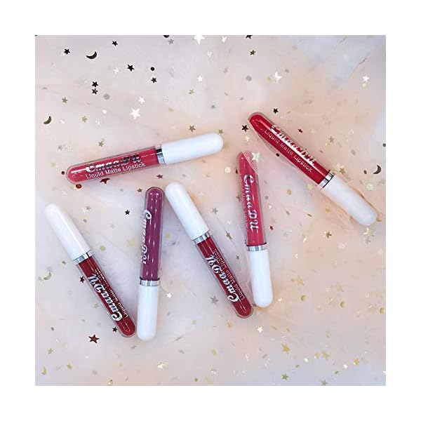 evpct CmaaDu 6Pcs Lipstick Matte Liquid Lipstick Lipgloss Set for Women, Dark Deep Bright Ruby Sexy Brick Red Mauve labiales mate 24 horas originales matte larga duracion 24 Hour Lipstick Long Lasting