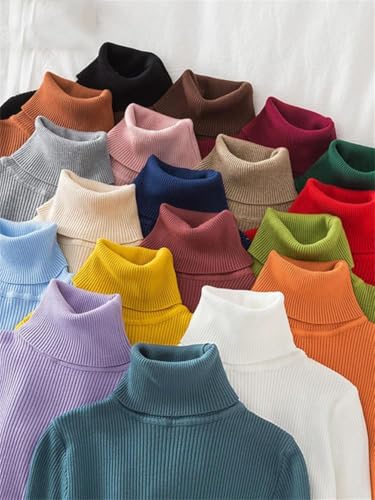 Korean Version of The High Neck Women's Fall and Winter Pullover Jumper Solid Colour Casual Slim Ribbed Knit Tops2