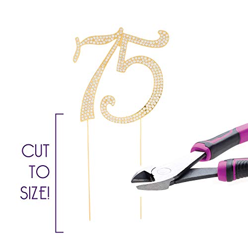 Ella Celebration 75 Cake Topper for 75th Birthday or Anniversary Gold Number Party Supplies Decorations (Gold)