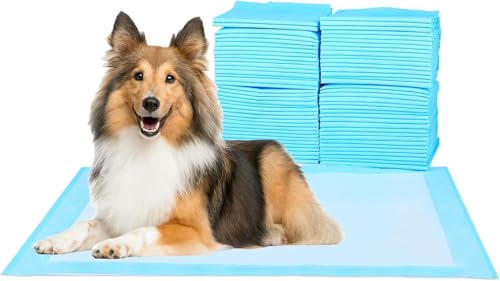 Super Absorbent Waterproof Dog and Puppy Pet Training Pad, Housebreaking Pet Pad, 50-Count Extra Middle-Size, 28’’X34’’, Blue Super Absorbent Waterproof Dog and Puppy Pet Training Pad, Housebreaking Pet Pad, 50-Count Extra Middle-Size, 28’’X34’’, Blue