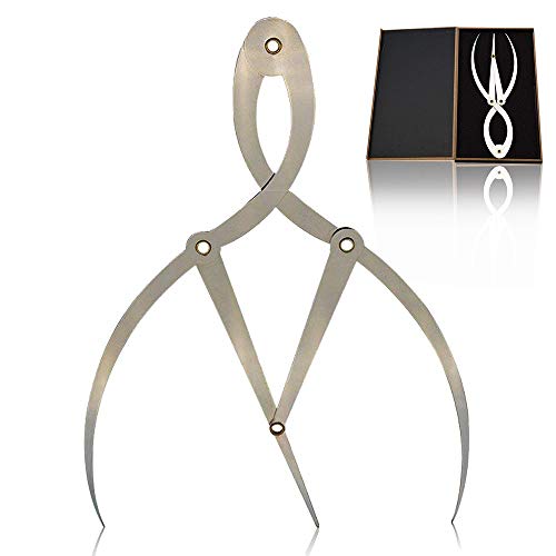 Golden Ratio Eyebrow Ruler, Stainless Steel Eyebrow Ruler Caliper with Case Three-point Positioning Balance Caliper Ruler Removable Reusable Ruler Permanent Measure Tool for Tattoo Makeup