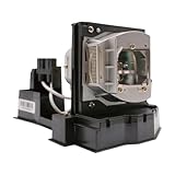 Advanced Lamps™ Lamp & Housing for The Infocus IN3102 Projector