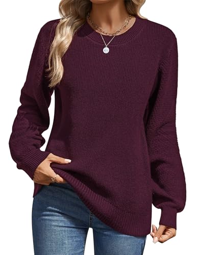 Zeagoo Womens 2025 Fall Sweaters Lightweight Long Sleeve Ribbed Knit Crewneck Pullover Tops Crochet Casual Outfits S-XXL