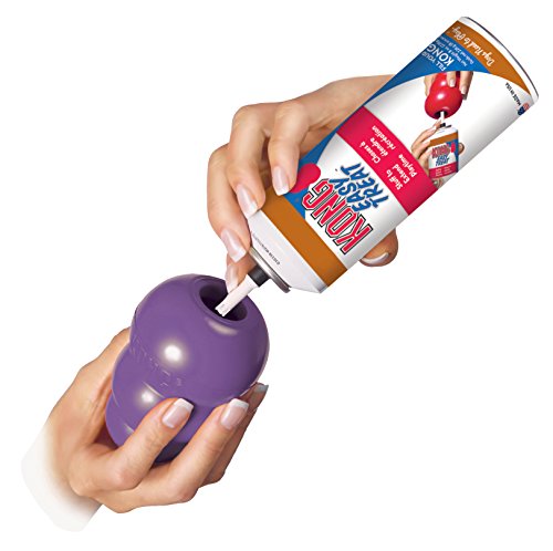 KONG Senior KONG Dog Toy, Medium, Purple
