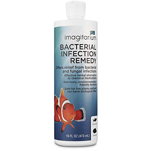 Petco Brand - Imagitarium Bacterial Remedy, 16oz, 16 FZ