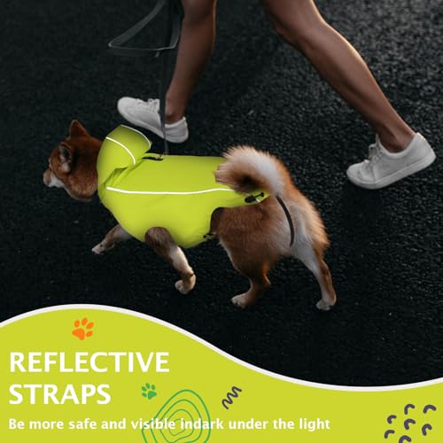 Vejaoo Regenmantel Hund Wasserdicht, Reflektierend Regenjacke mit Kapuze für Hund, Verstellbare Winddicht Regenjacken für Kleine Mittelgroße Groß Hunde Spaziergäng XZ015(Grün,S)