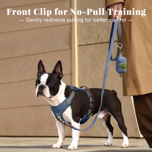 Image of Didog No Pull Dog Harness for Small Dogs, Classic PU Leather, Blue, S
