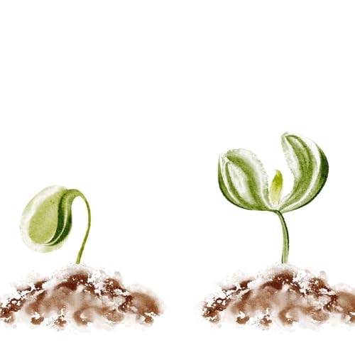 From Seed to Harvest: Lessons on Spiritual Growth