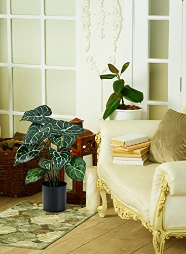 Serene Spaces Living Artificial Anthurium Plant in Black Pot, Lifelike House Plant for Balcony, Living Room, Kitchen, Office, Patio, Bedroom, Entranceway, Gift Idea, 12
