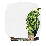 NINMORTH Funda protectora reutilizable transpirable para plantas, 250 x 360 cm, diseño de rosas, palmeras y árboles pequeños