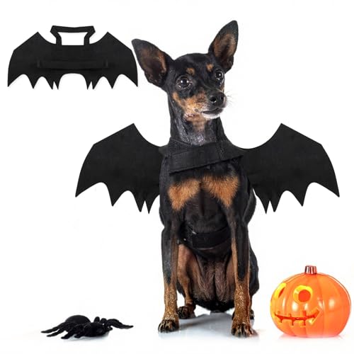 Binlava Halloween Kostüm Hund Fledermaus Flügel, Hundekostüm mit Kürbisglocke, Einstellbar Haustier Fledermaus Kostüm, Niedlich Haustier-Cosplay-Dekorationen für Kleiner Hunde Halloween-Party(M)