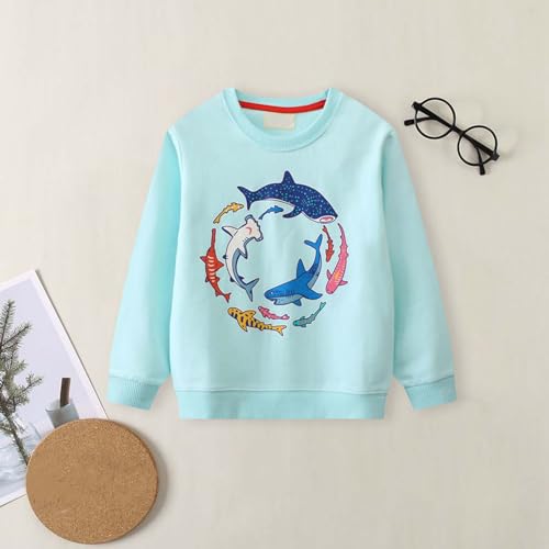 Boys' Long Sleeve Hooded Sweatshirt Boys' Pullover Autumn Children's Crewneck Sweatshirt Glow In (Light Blue, 4-5 Years)3