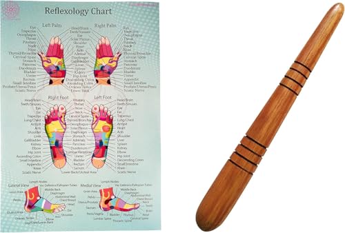 CCcollections Holztherapie-Massagewerkzeug-Set- Komplettes Reflexzonenmassage-Set für Profis- Ideal zur Entspannung, Schmerzlinderung und Selbstpflege mit natürlichen Massagewerkzeugen (Set A) CCcollections Holztherapie-Massagewerkzeug-Set- Komplettes Reflexzonenmassage-Set für Profis- Ideal zur Entspannung, Schmerzlinderung und Selbstpflege mit natürlichen Massagewerkzeugen (Set A)
