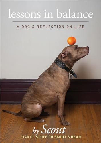 Lessons in Balance: A Dog's Reflections on Life