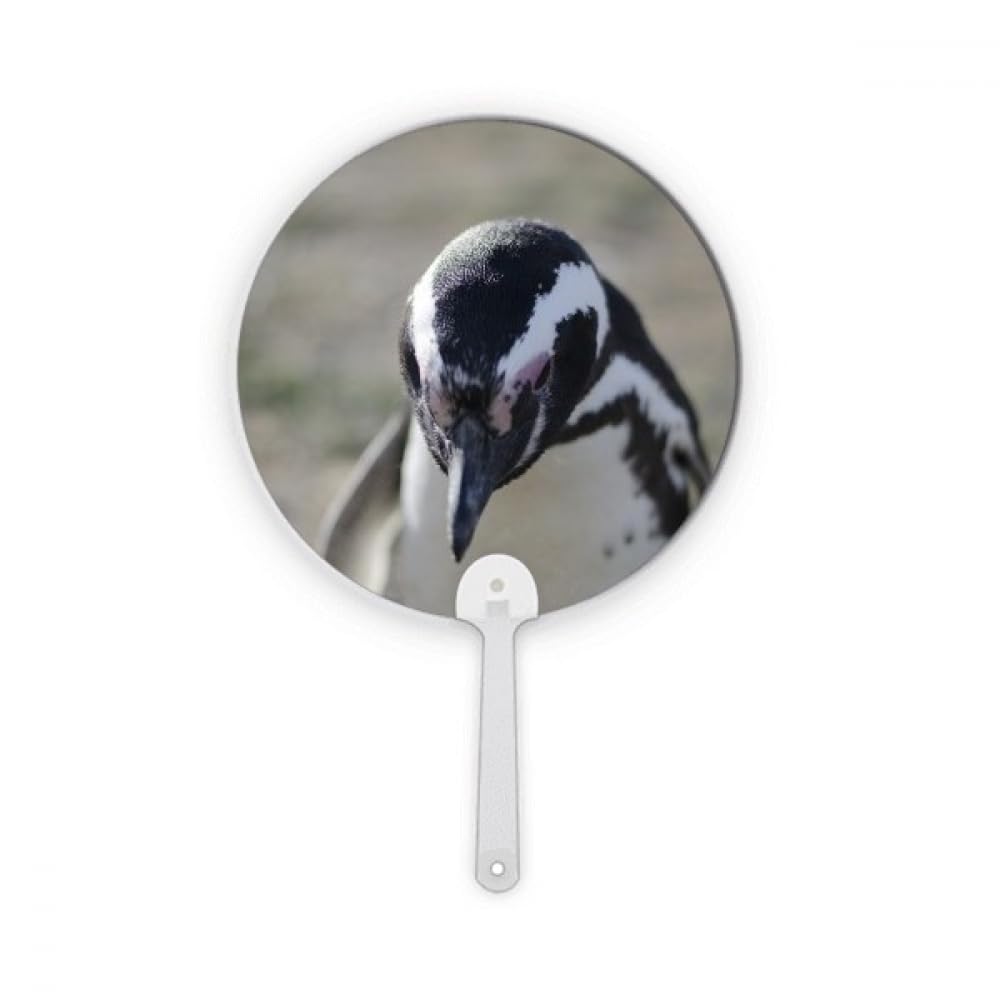 Éventail portable pingouins pour fraîcheur au bureau et en voyage
