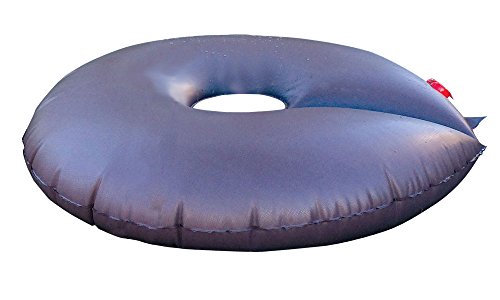 Dewitt Dew Right Slow Release Tree Watering Donut, One Size,