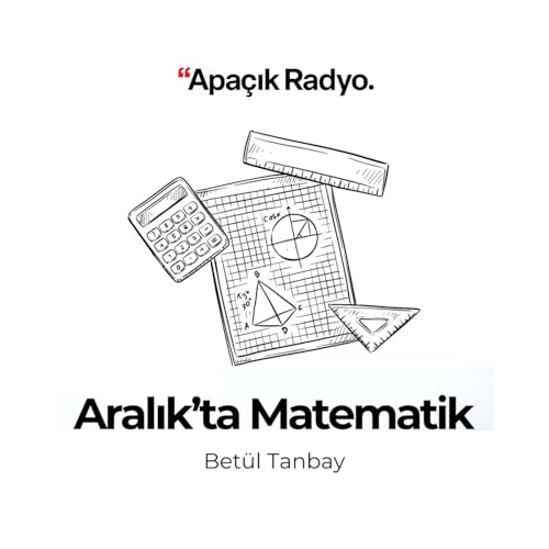 Aralık&rsquo;ta Matematik cover art
