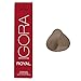 Schwarzkopf Professional Igora Royal Permanent Hair Color, 8-1, Light Blonde Cendre, 60 Gram
