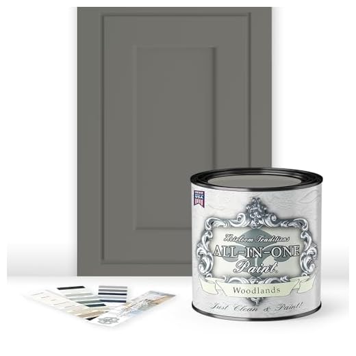 Versatile All-In-One Paint for Any Surface