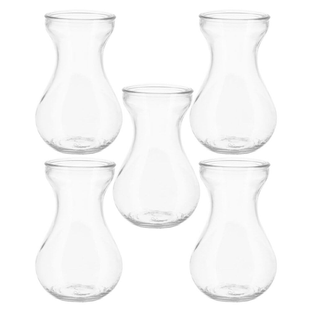 Alipis Glass Hyacinth Bulb Vase Set of 5 Clear Small Desktop for Indoor Plants Hydroponic Flower Vases Table Centerpiece Home Office Decoration - Image 3
