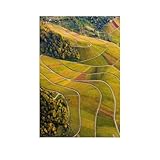 Puzzle 1000 Stück，Weinberge zwischen Kappelberg und Rotenberg，Holz Kinderspielzeug Dekompression Spiel（75x50cm）-AU48