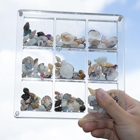 Acrylic Seashell Display Case - 9 Seashell Display Box, Transparent Seashell Storage, Magnetic Clear Box for Organizing Seashells and Trinkets (Large Grid Version). Cover