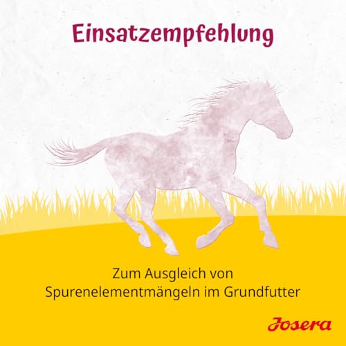 JOSERA Natursalz Plus (4 x 5 kg) | hohe Ausstattung an Zink, Selen und Mangan | Mineralfuttermittel für Pferde