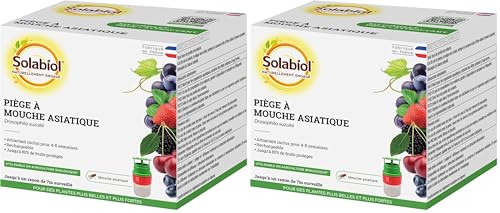 Piège à mouches asiatiques naturel efficace bio prêt à l'emploi - Lot de 2