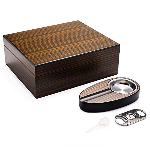 Best Humidors Under 100 10Reviewz