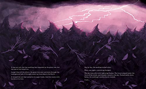 Listen to the Language of the Trees: A Story of How Forests Communicate Underground