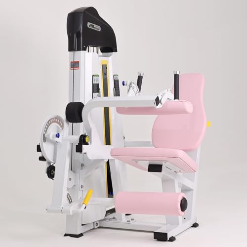 Image of Leg Extension & Leg Curl Machine with Single Weight Stack for Home and Commercial Gym