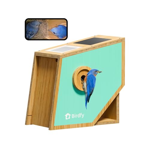 Birdfy Smart Bird House with Camera | Lifetime AI Identify | Auto-Record Nesting Stages & Alerts | Remote Control | Night Vision | Battery & Solar Outdoor-Ready, Ideal For Nesting Watching Enthusiasts