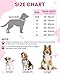 PETTOM Hundehalsband Verstellbare Nylon Hunde Halsband Atmungsaktives Reflektierend Halsband (Rose M)