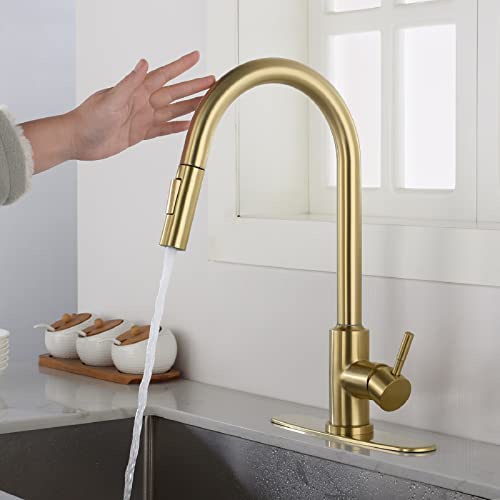 Robinet de cuisine à poignée unique anti-gaspillage d'eau - 2