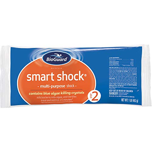 BioGuard Smart Shock 1 lb, Pack of 12, Algae Preventative, Swimming Pool Clarifier, Pool Shock Treatment, Multi-Purpose Shock for Pool Maintenance
