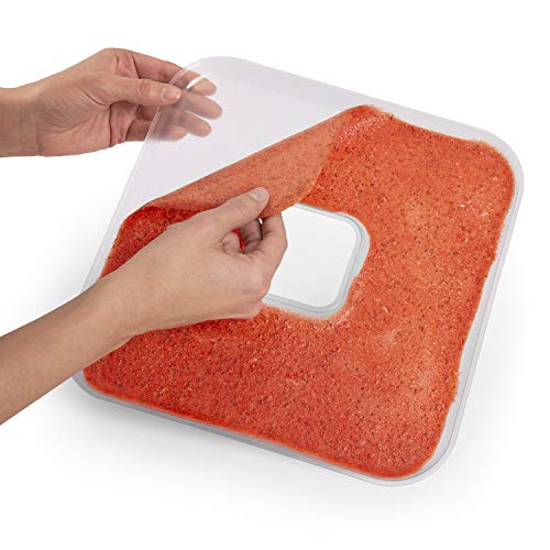 Fruit Roll Sheets #TOP2