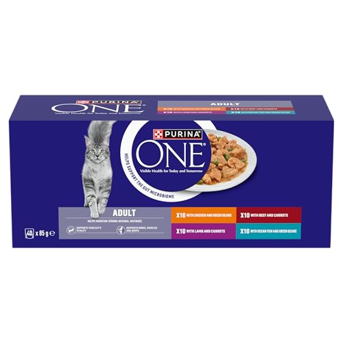 PURINA ONE Mini Fillets Mixed Selection in Gravy Adult Wet Cat Food 40x85g