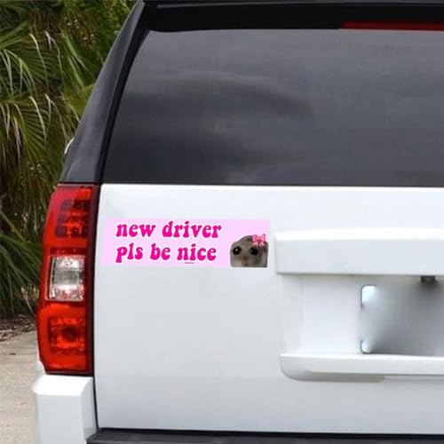 ZIRYXQ Autocollant humoristique pour jeune conducteur, inscription « Pls Be Nice », « Nice Driver », cadeau pour adolescentes – vue 3