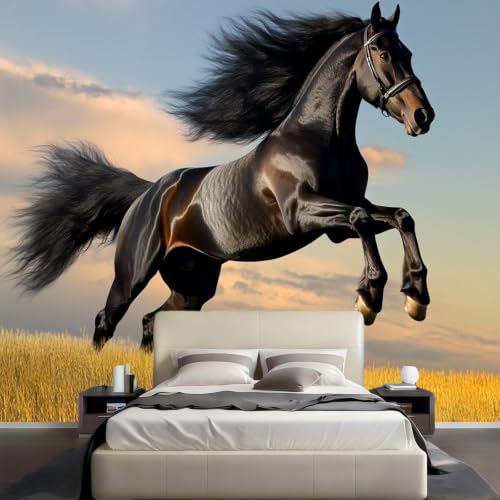 Papier peint cheval intissé noir pour masquer un mur dégradé