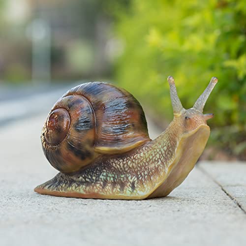 Suynybhf Garden Snail Decor Cute Figurine Garden Statue Resin Animal Sculpture Outdoor Decor For Patio Yard Lawn Ornaments Art Decoration Gift For Housewarming Decoration Gift By Hand Painted (7Inch) #TOP12