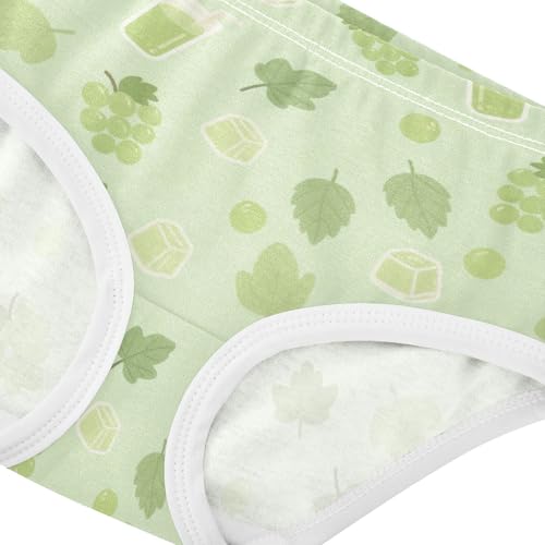 Girls' Underwear Grape Toddle Brief Panties 2-8 Years 203007104