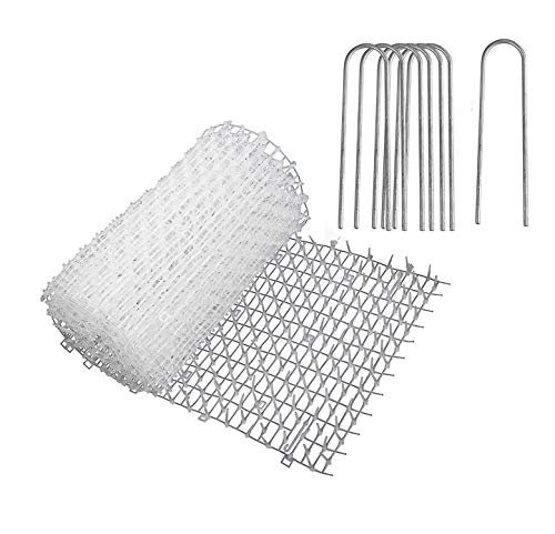 PestExpel® Humane Anti Gato Animal Mat Picos Repelente Humane Anti Gato Estera de 2 m x 0,3 m, transparente, 1