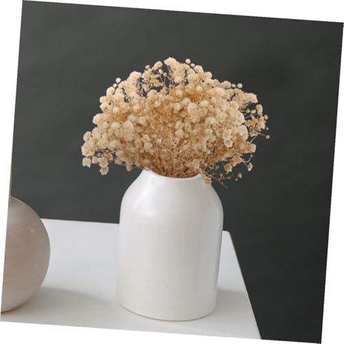 Ramo de 6 flores secas Mini Gypsophila para decoración miniatura 6