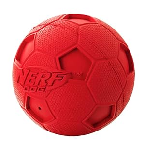 Nerf dog soccer ball dog toy with interactive squeaker lightweight durable and water resistant 4 inches for mediumlarge breeds single unit red   cucciolini doodles