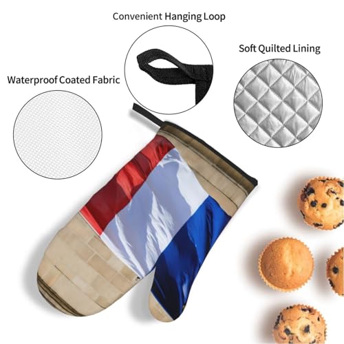 Ensemble de pièces de cuisson isolées drapeau français au design élégant