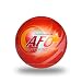 stacy riccelli Fire Extinguisher Ball Self-Activation -Fire Suppression Device (1)