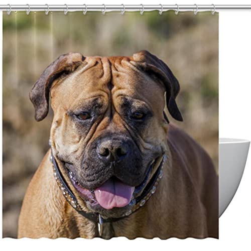 Rideau de douche Bulldog anti-éclaboussures pour garder le sol sec - 2