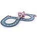 Paw Patrol Roll Patrol - Marshall’s Pet Rescue - Track Set
