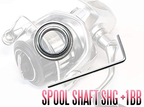 Amazon | シマノ 19ストラディック 1000S - 3000MHG用 スプール